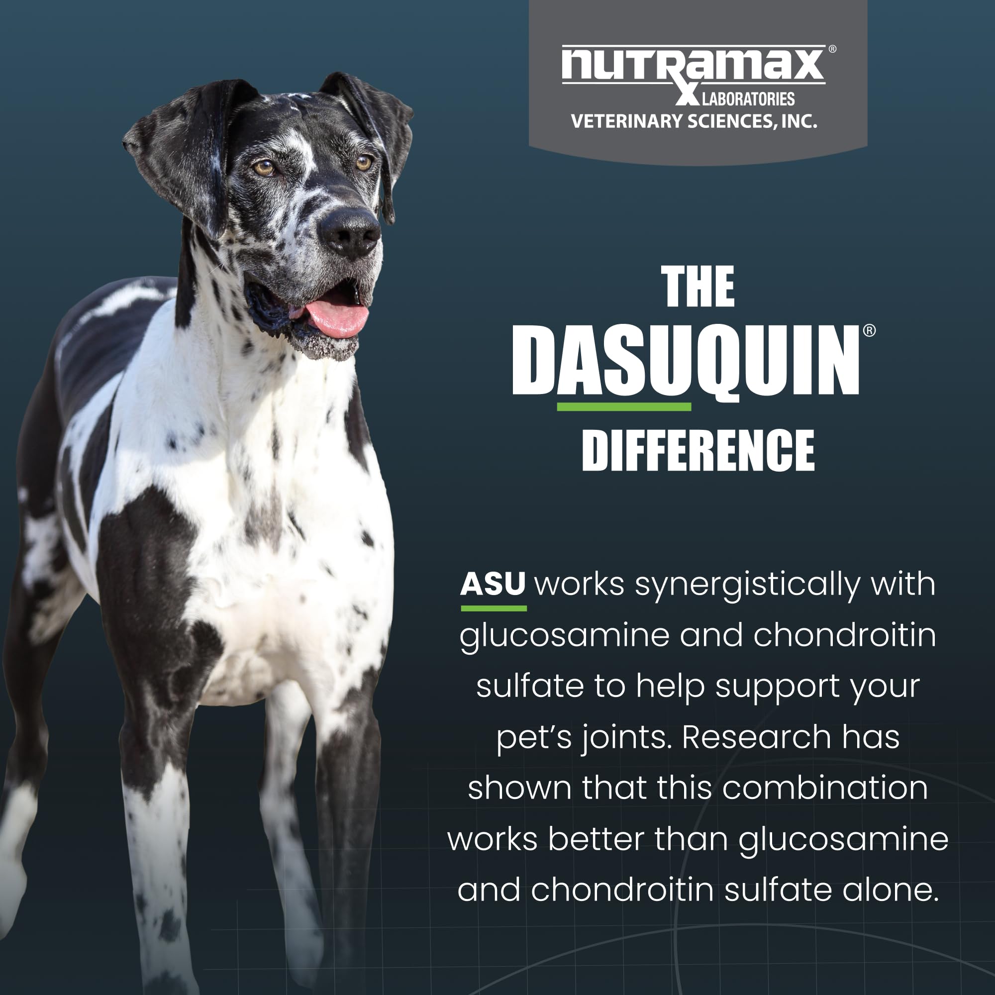Nutramax Dasuquin chien acceptant comprimé montrant facilité d'administration