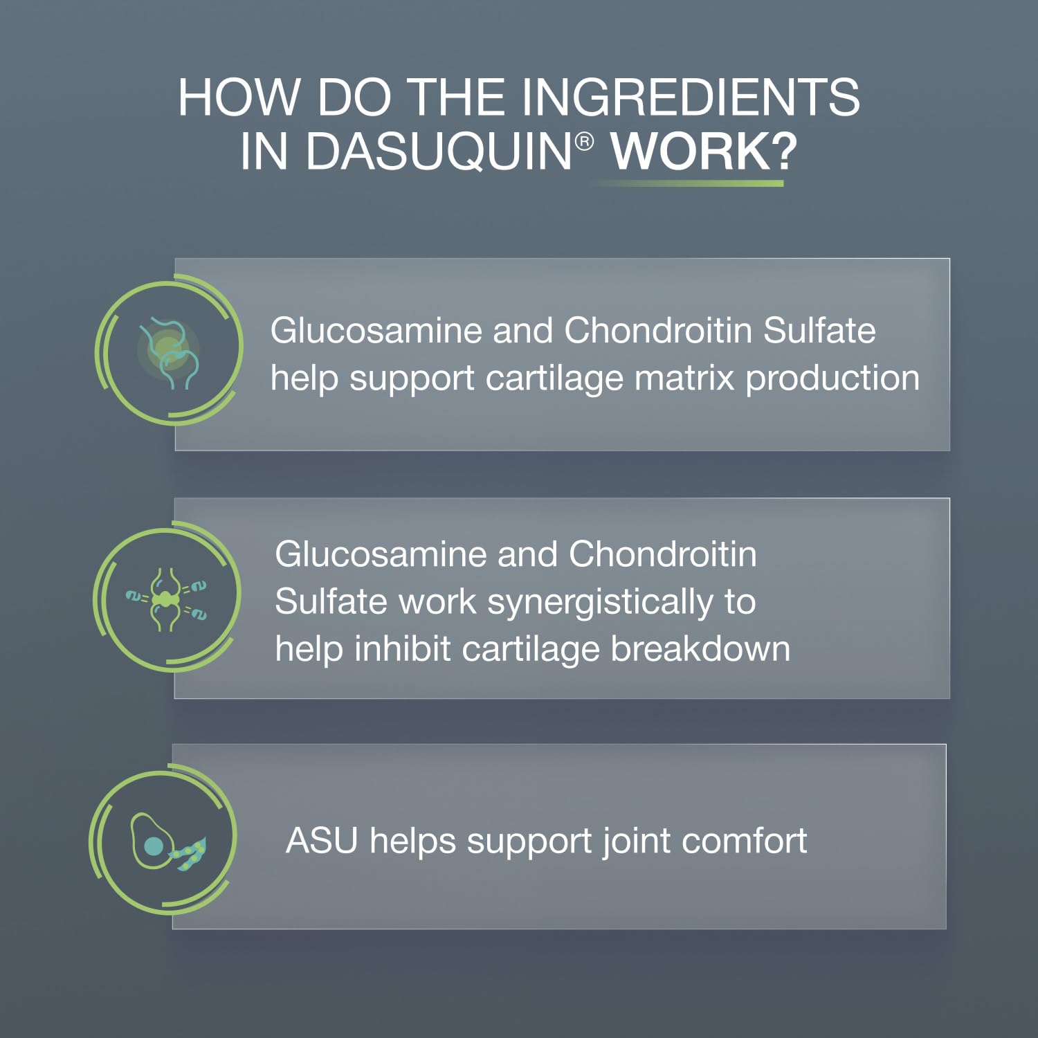 Nutramax Dasuquin MSM friandises dans un bol pour intégration au repas quotidien