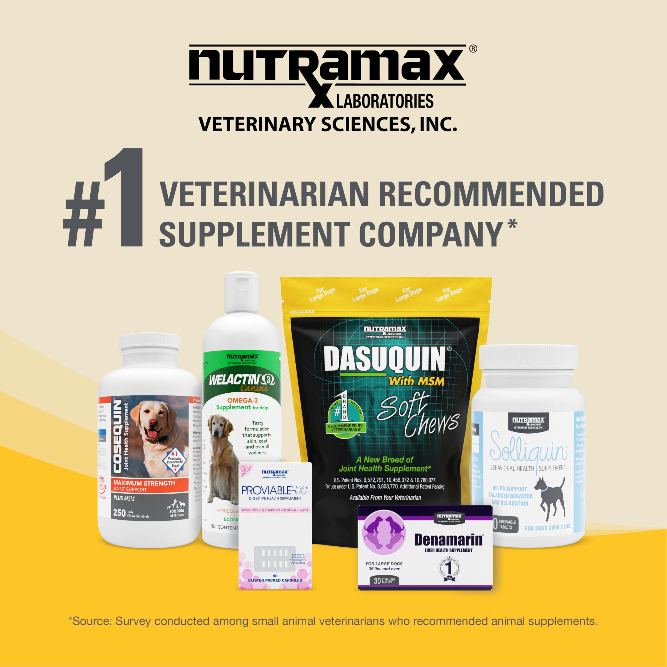 Nutramax Dasuquin étiquette et liste d'ingrédients mettant en avant formule brevetée