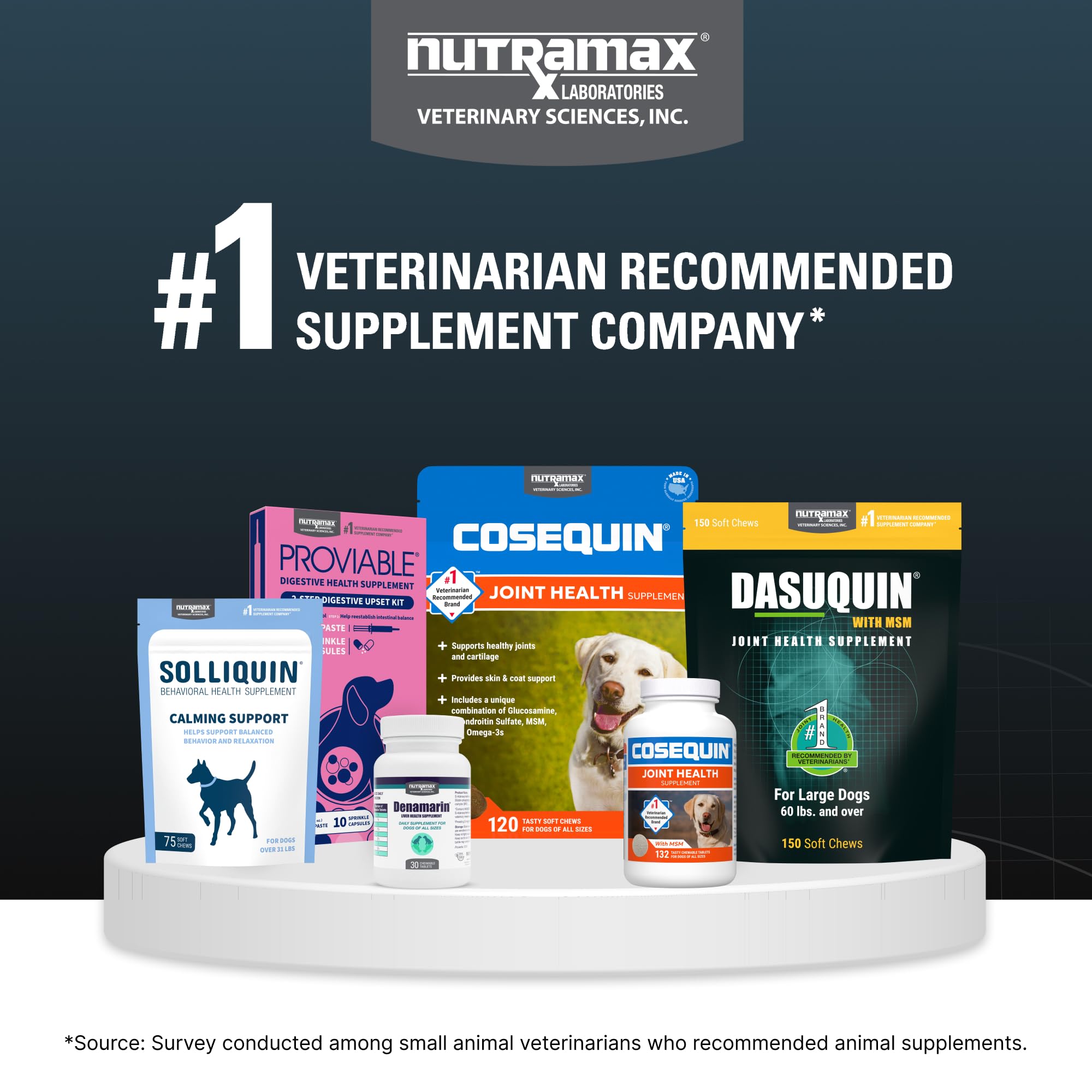 Nutramax Dasuquin mise en situation vie active soulignant soutien articulaire