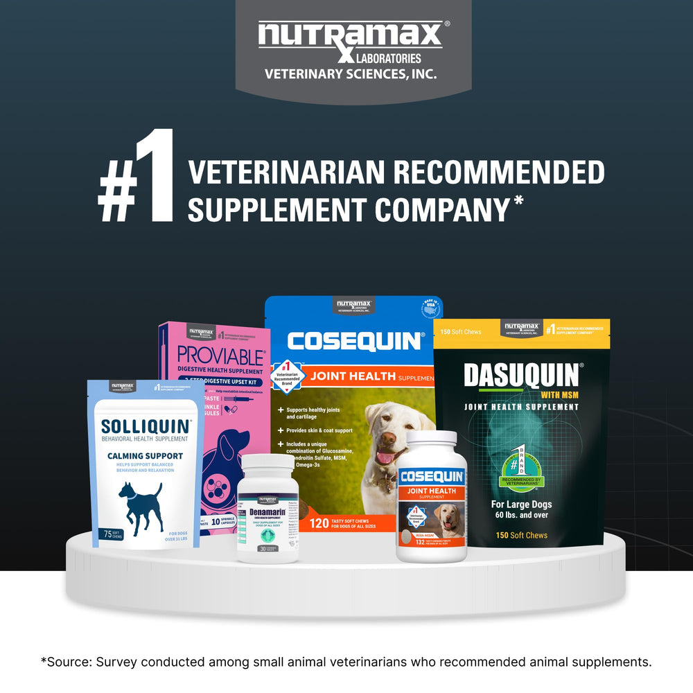 Nutramax Dasuquin mise en situation vie active soulignant soutien articulaire
