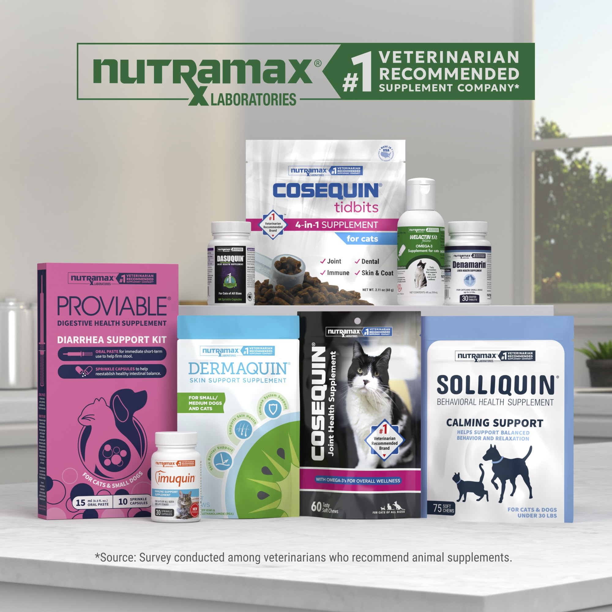 Nutramax Dasuquin verso du packaging montrant instructions et sécurité