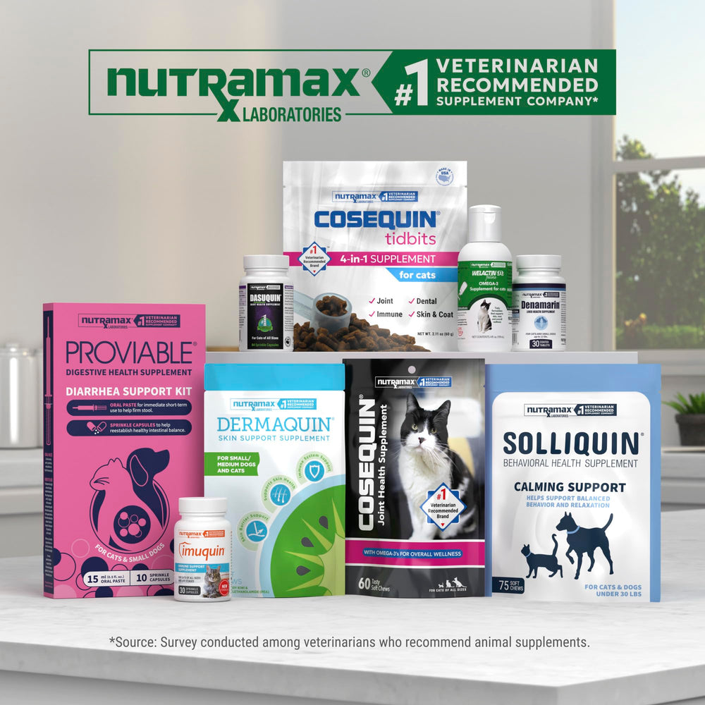 Nutramax Dasuquin verso du packaging montrant instructions et sécurité