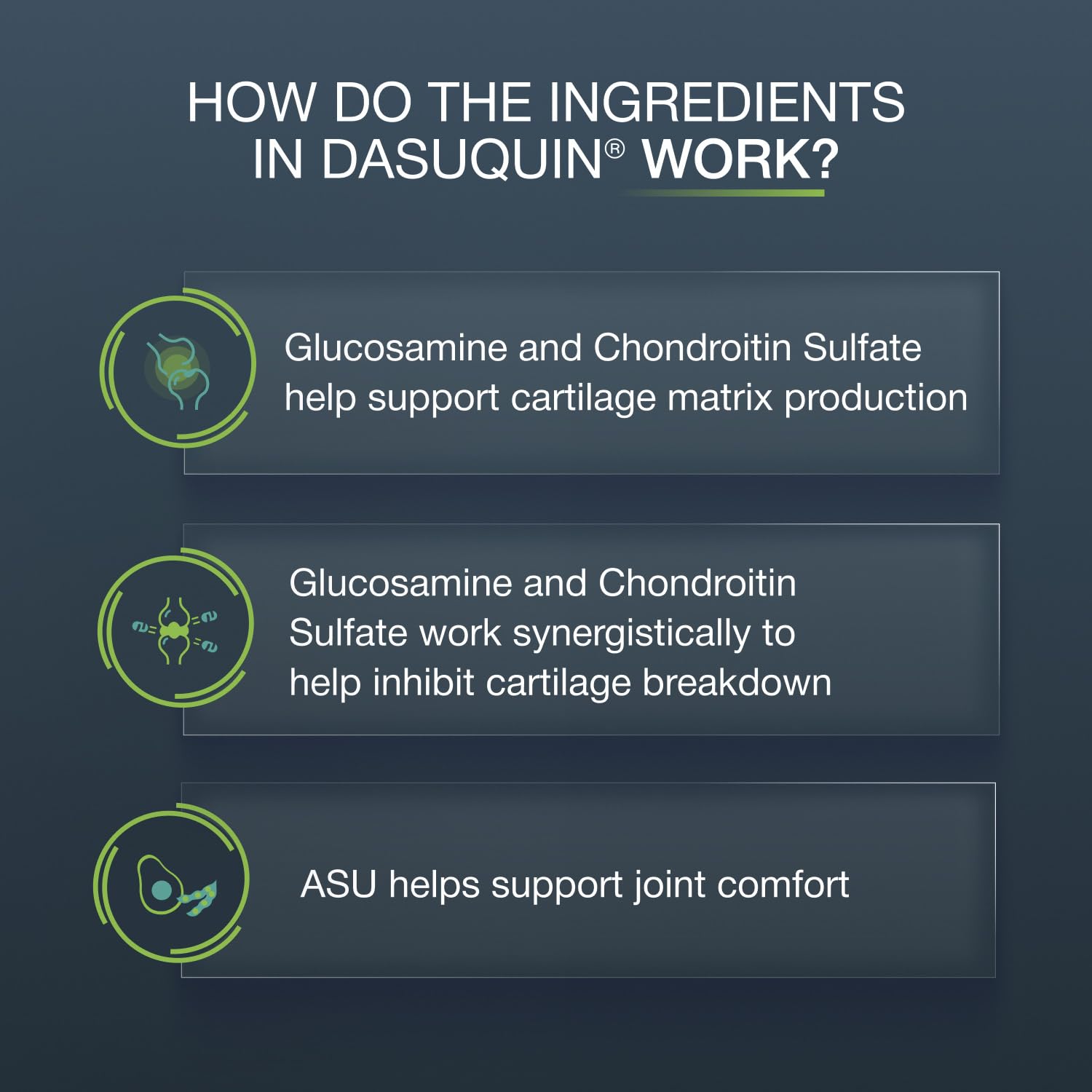 Nutramax Dasuquin texture mastiquable détail pour confort de mastication