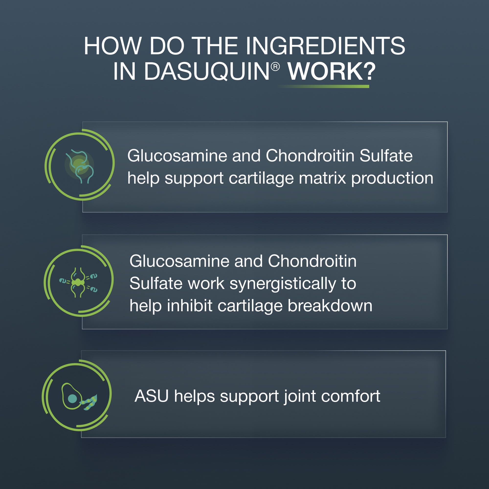 Nutramax Dasuquin propriétaire donnant friandise soulignant acceptation facile