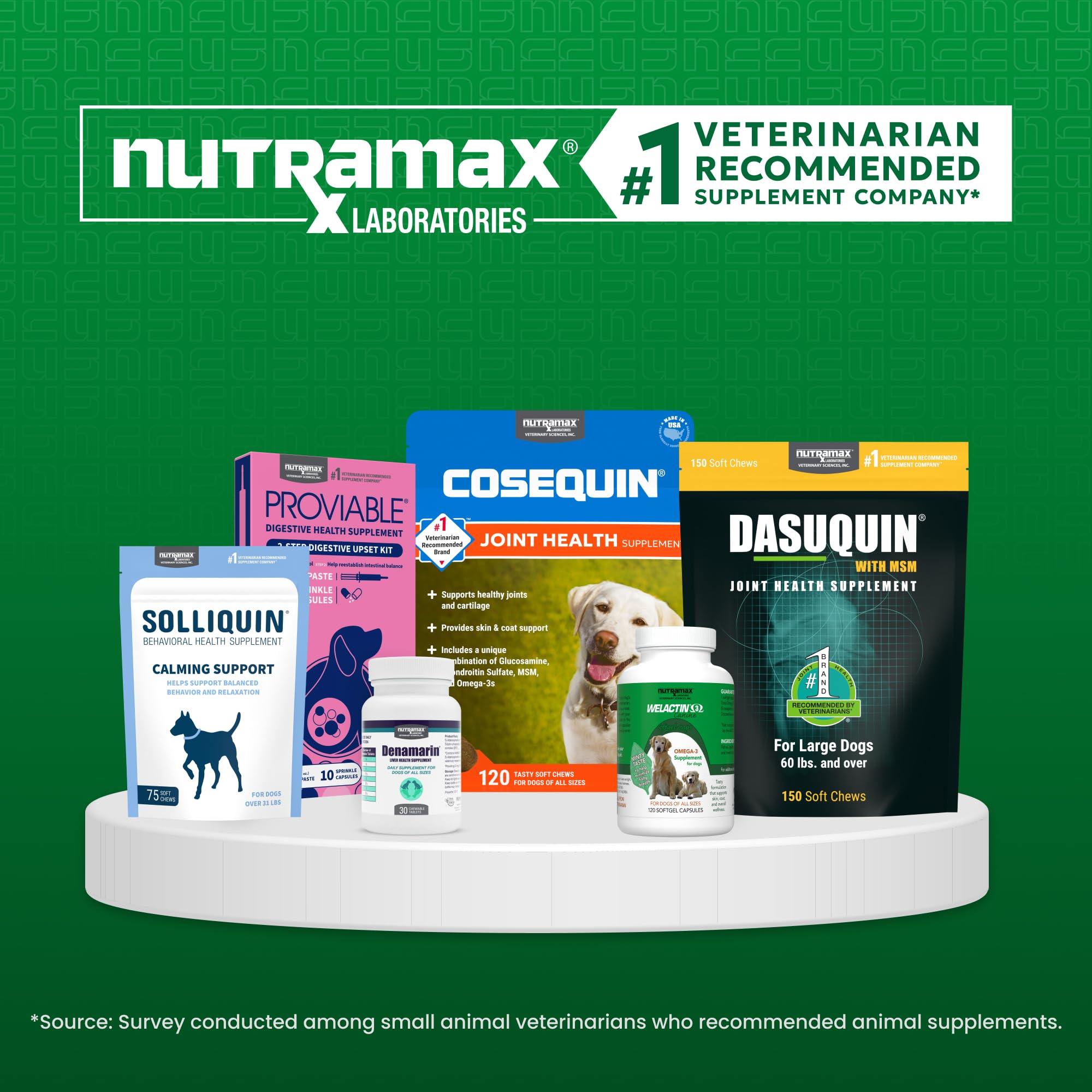 Nutramax Denamarin chien moyen prise montrant facilité d'administration quotidienne