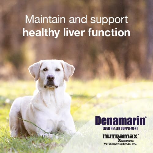 Nutramax Denamarin gros plan sur comprimé soulignant la texture et facilité d'administration