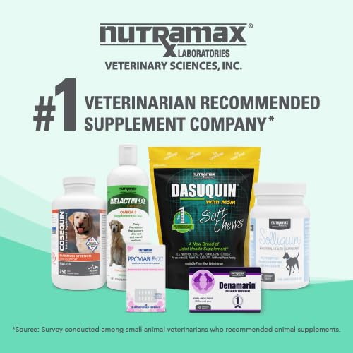 Nutramax Denamarin en contexte vétérinaire rappelant la recommandation par des pros