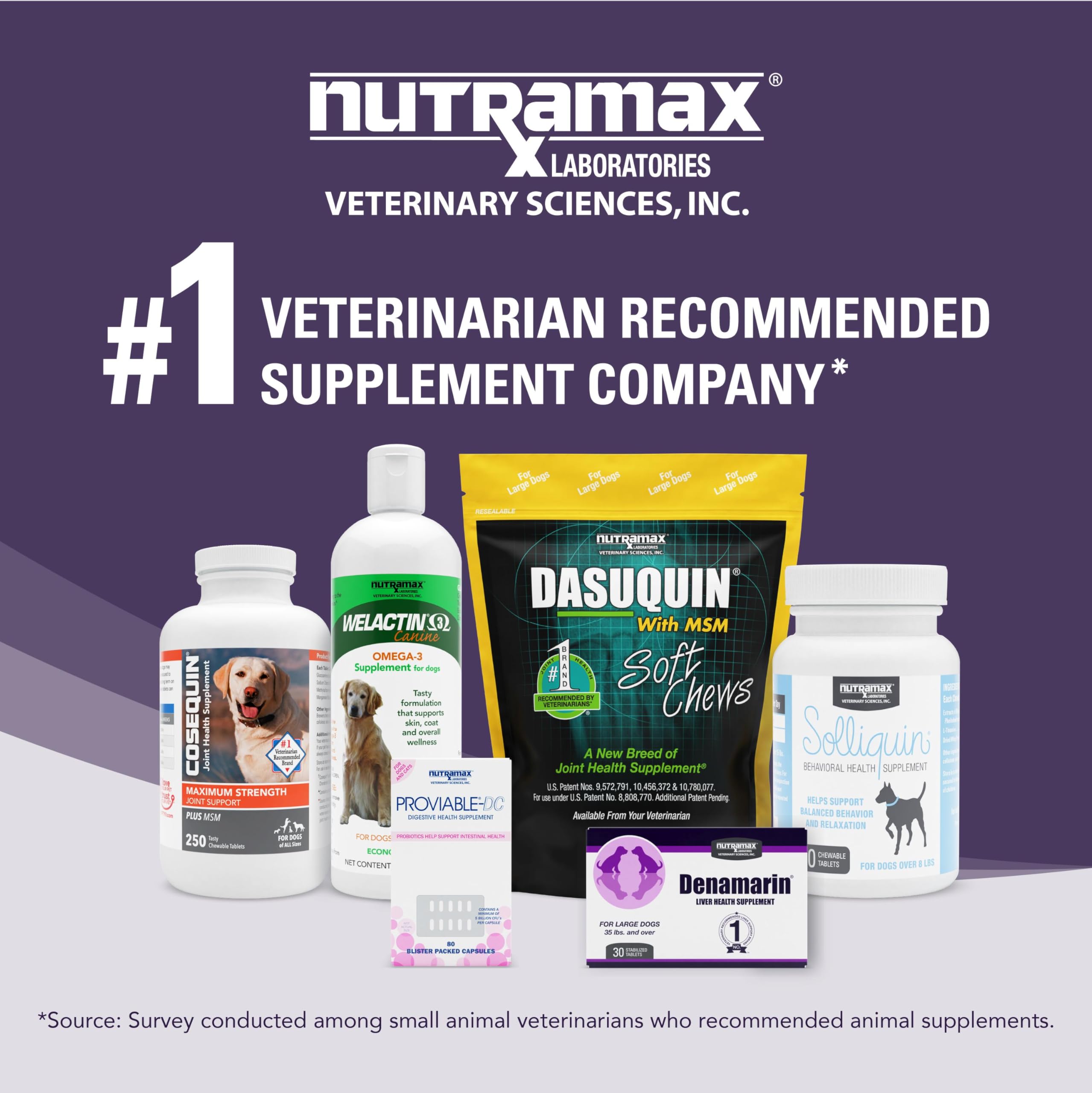 Étiquette Nutramax Denamarin détaillée montrant ingrédients clés et informations produit