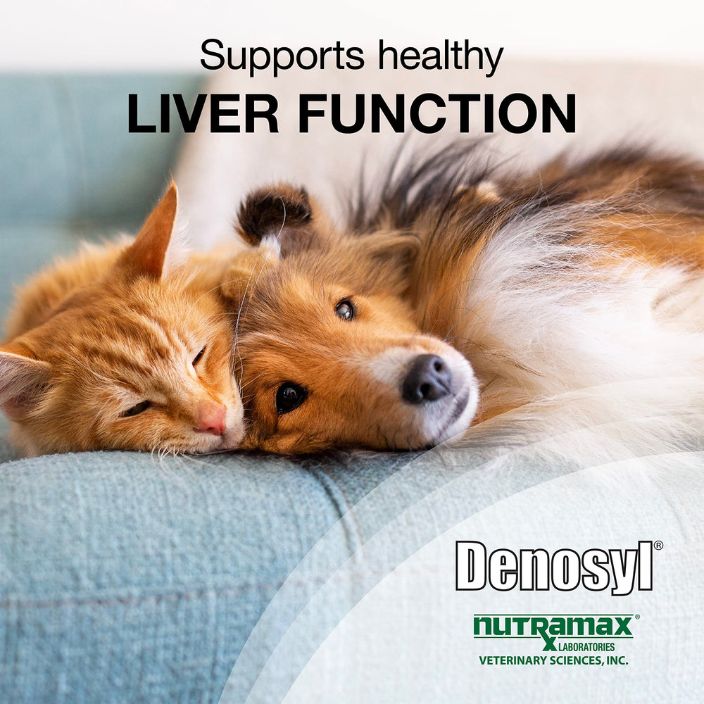Nutramax Denosyl gros plan sur enrobage entérique pour meilleure absorption