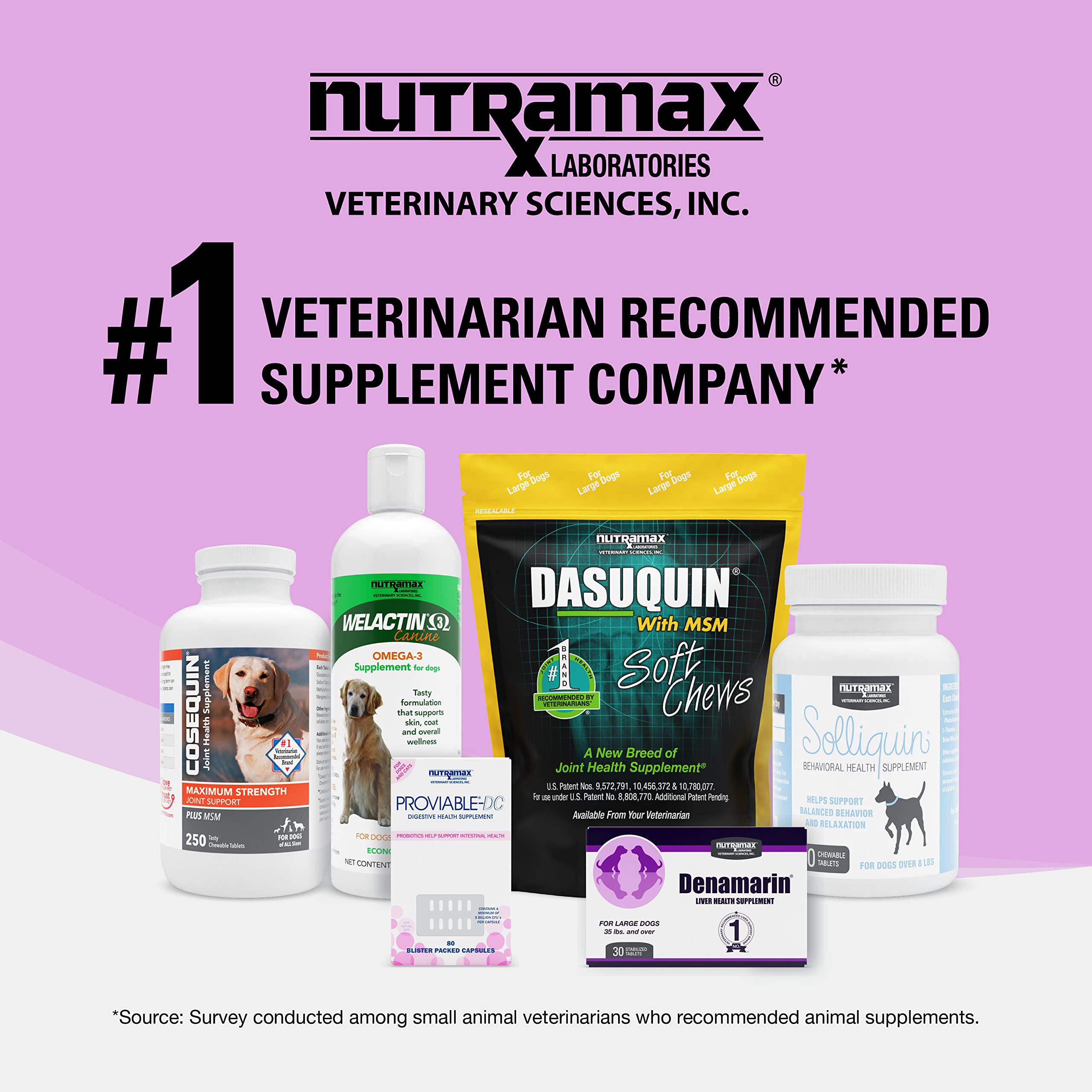 Nutramax Denosyl administration à un chat, facilité d'utilisation visible