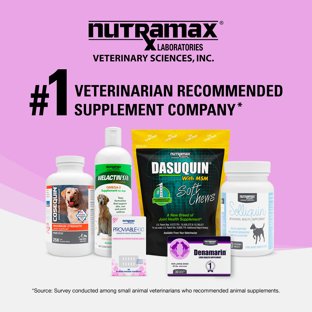 Nutramax Denosyl administration à un chat, facilité d'utilisation visible