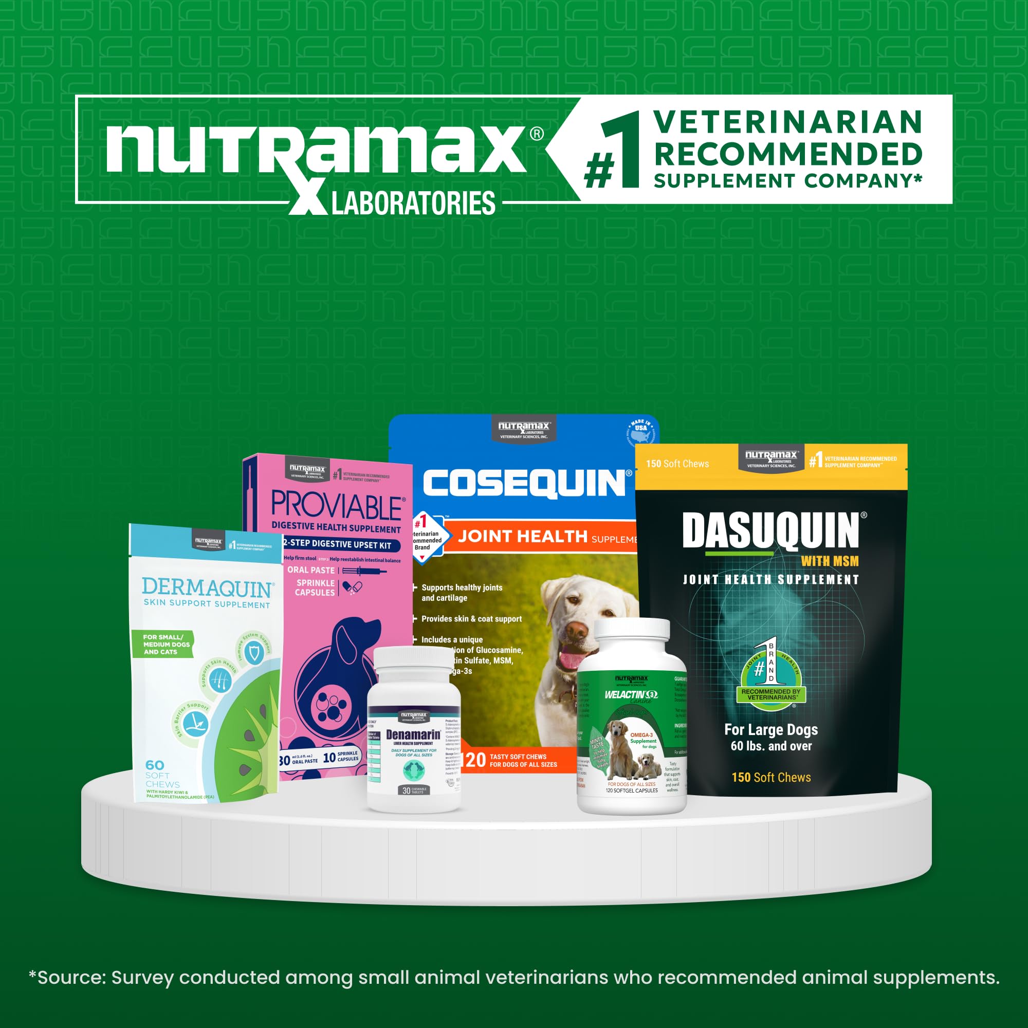 Nutramax Dermaquin en situation domestique soulignant confort cutané quotidien