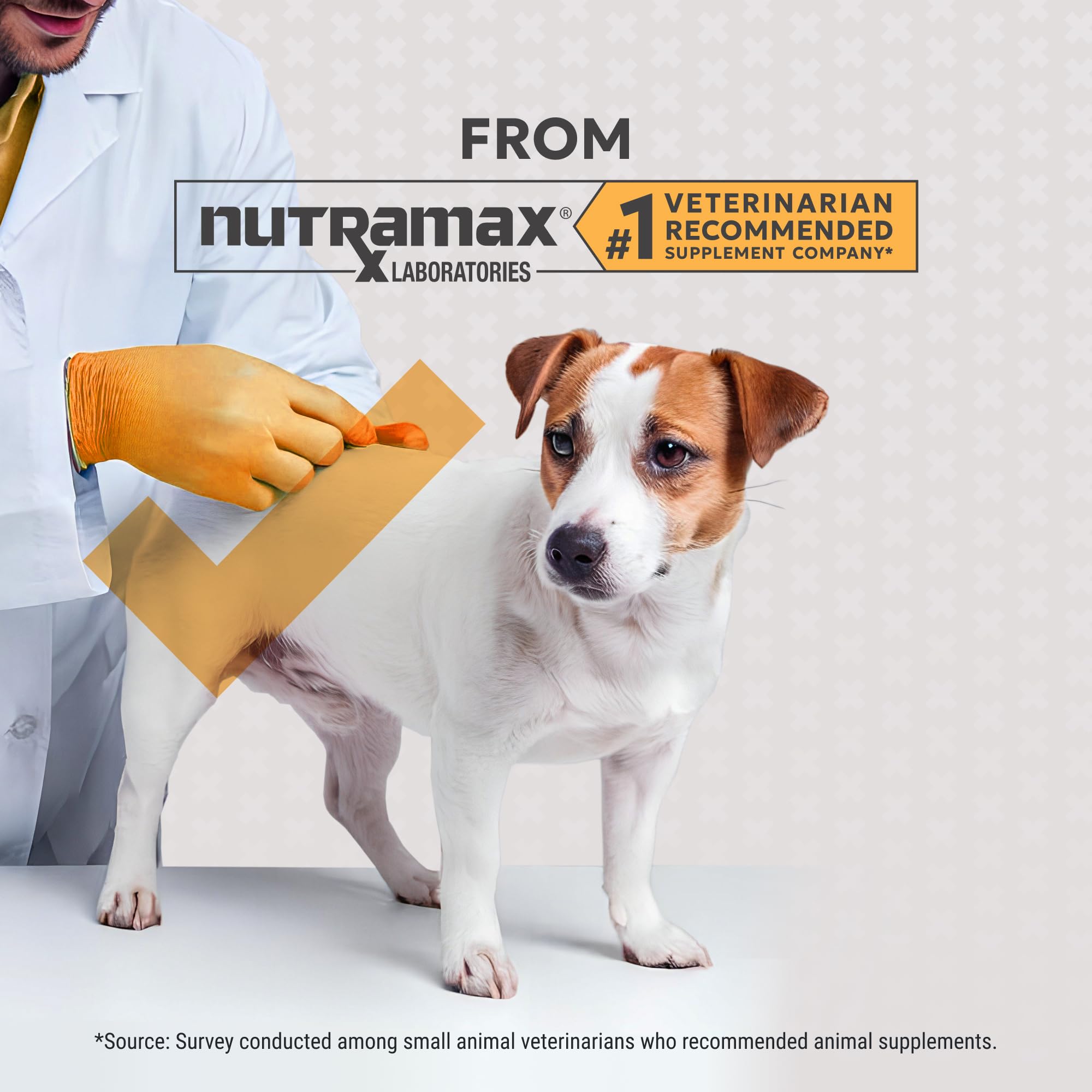Nutramax Filaquin étiquette arrière affichant ingrédients et dosages