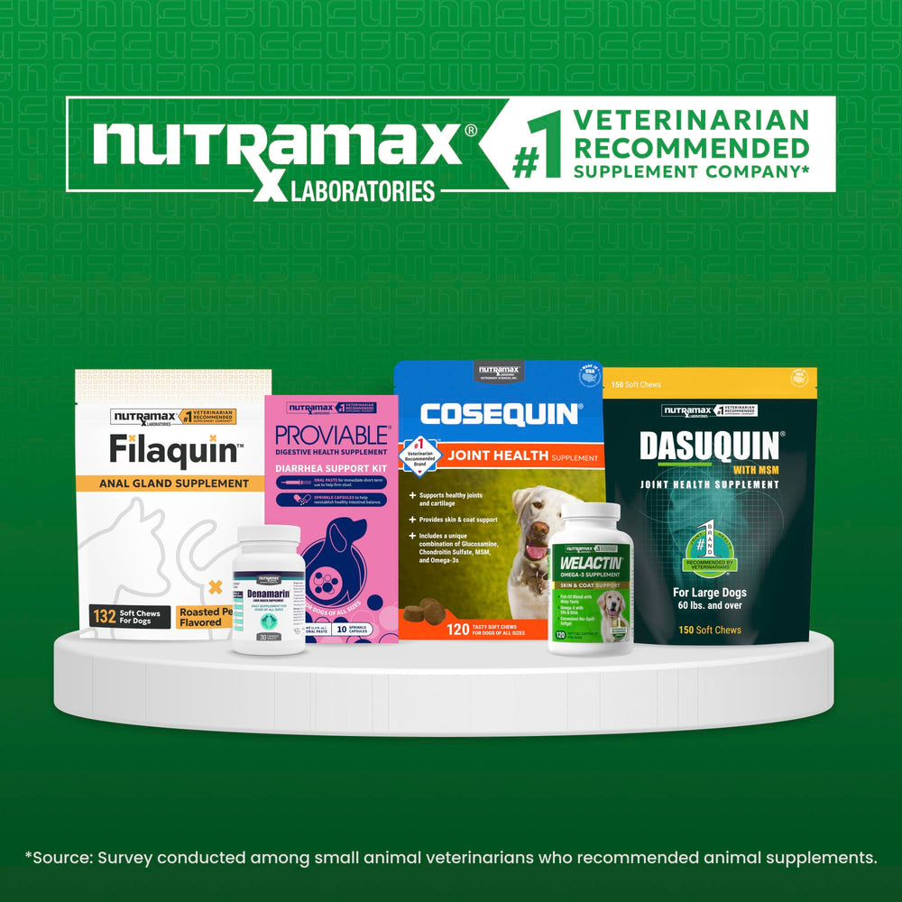Nutramax Imuquin en contexte vétérinaire, confiance et qualité