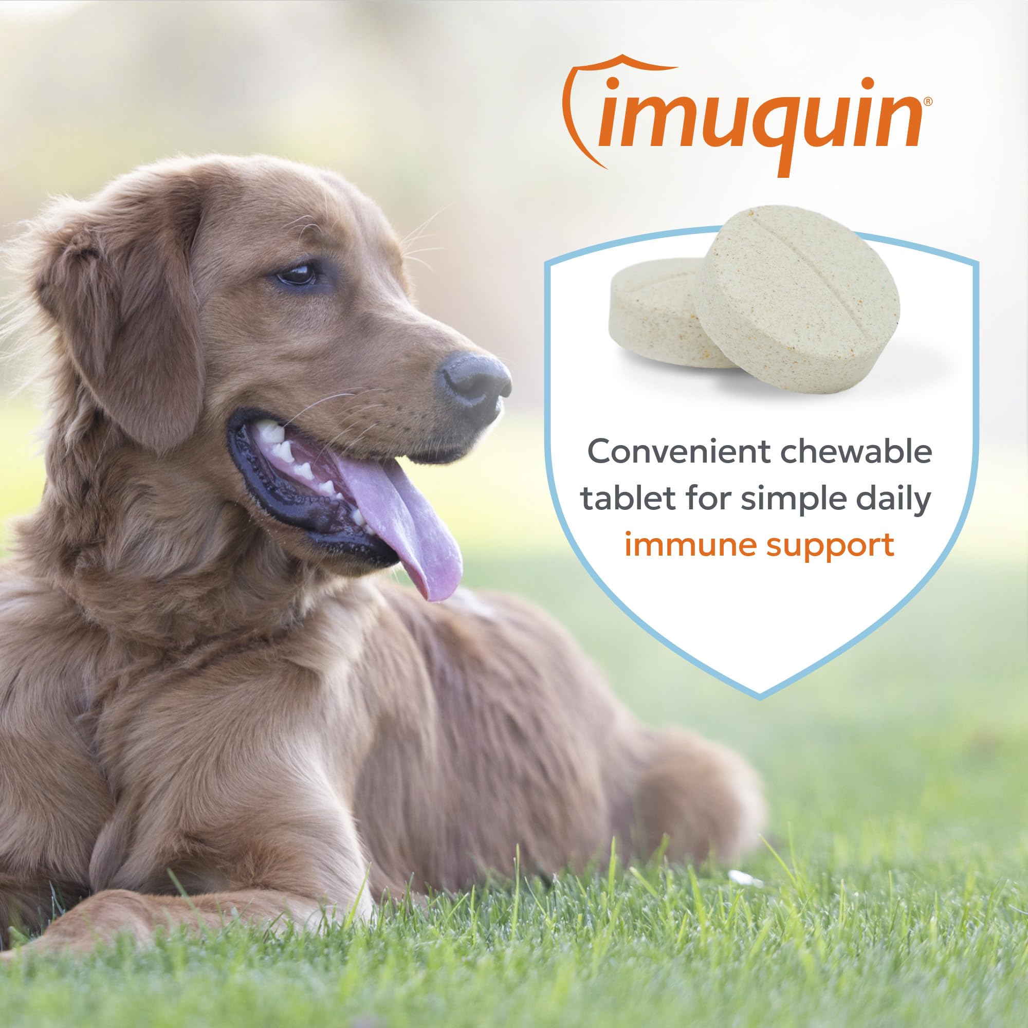 Nutramax Imuquin chiot mangeant la tablette, acceptation facile