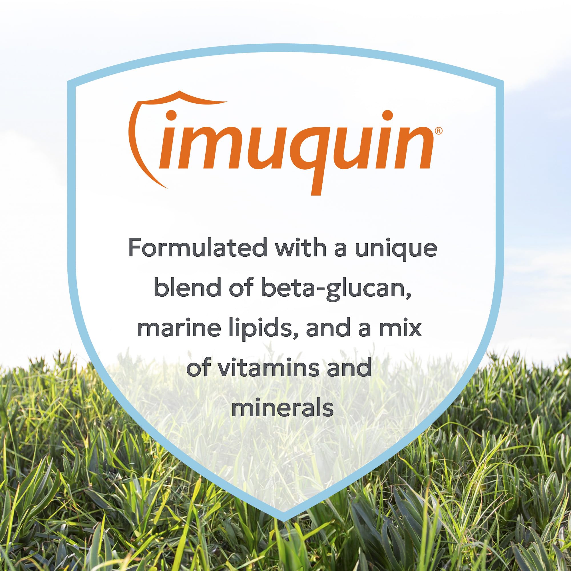 Nutramax Imuquin comprimé dans une main pour comparer la taille