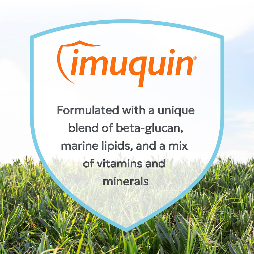 Nutramax Imuquin comprimé dans une main pour comparer la taille