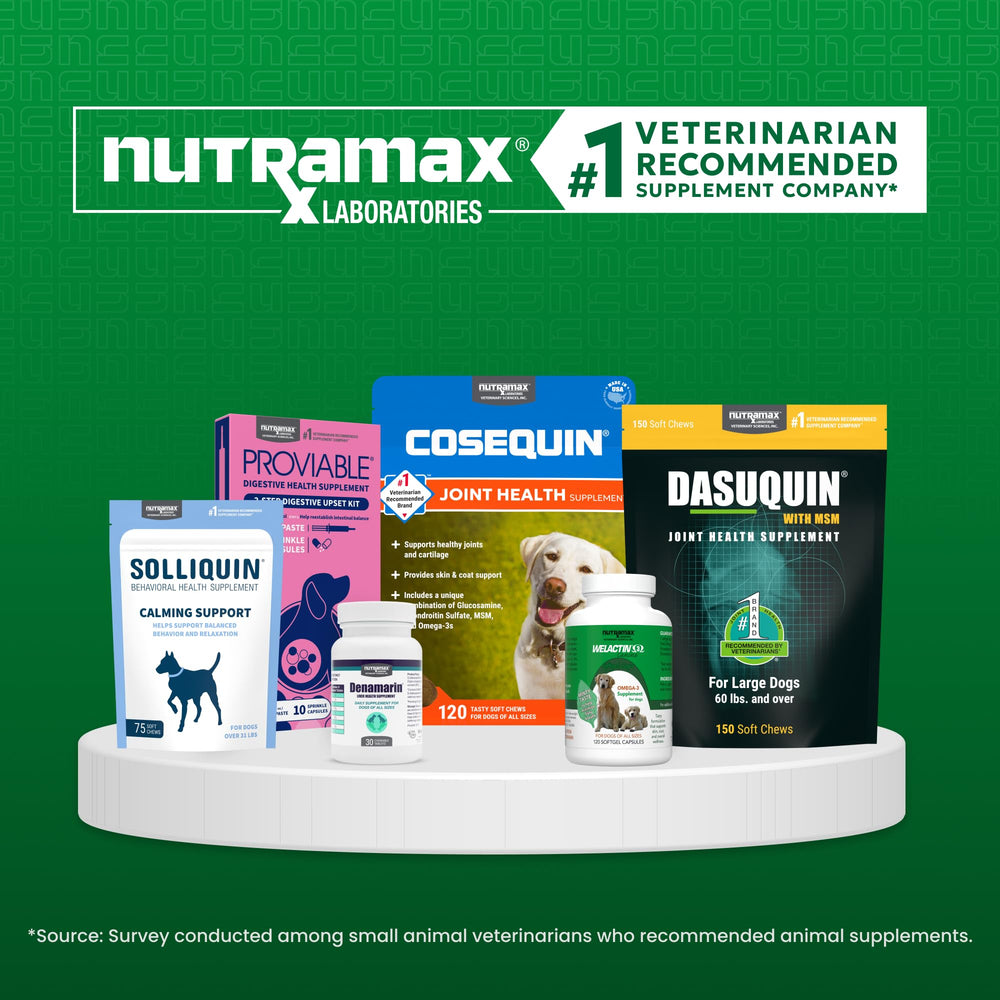 Nutramax Naraquin en contexte vétérinaire, usage recommandé et suivi professionnel