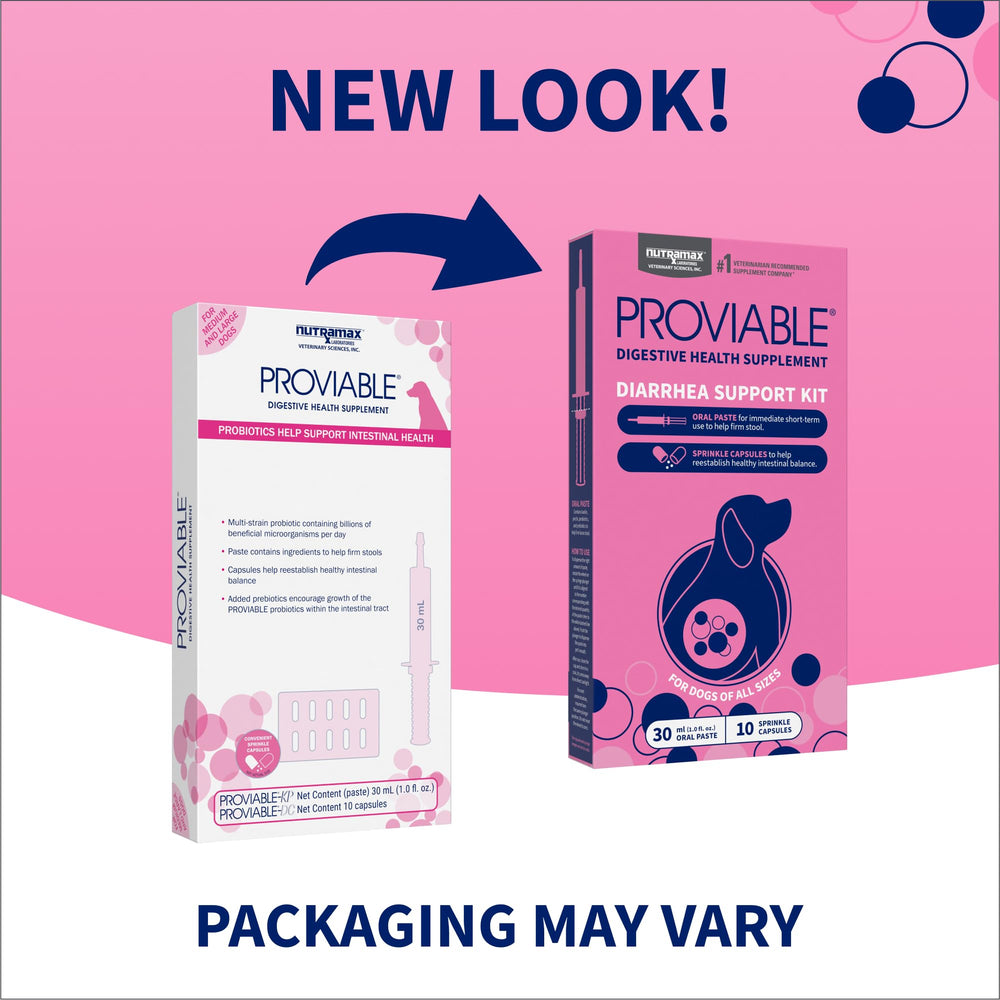 Nutramax Proviable boîte ouverte révélant capsules et seringue, pour facilité d'utilisation