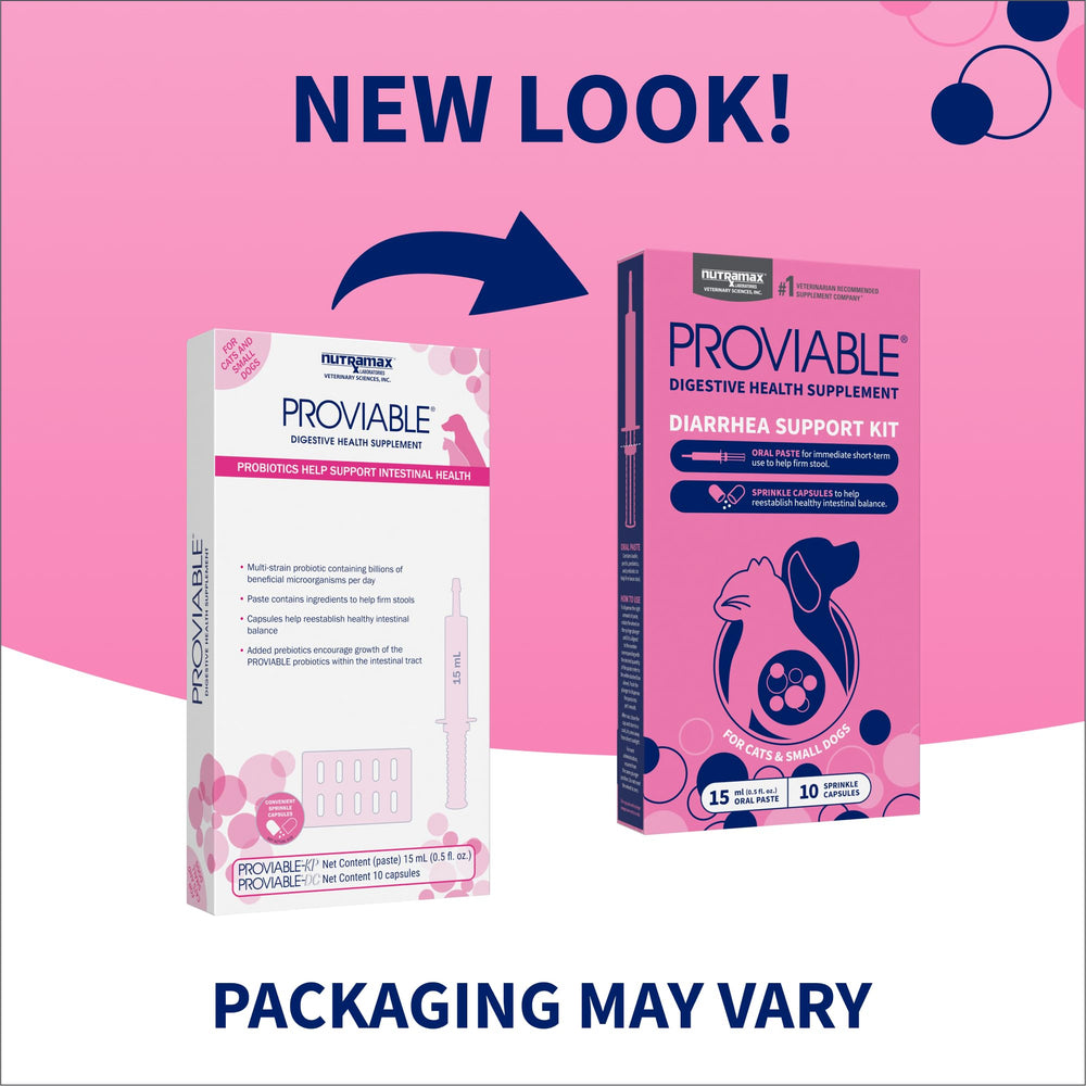Nutramax Proviable seringue de pâte avec bouchon, administration précise et rapide
