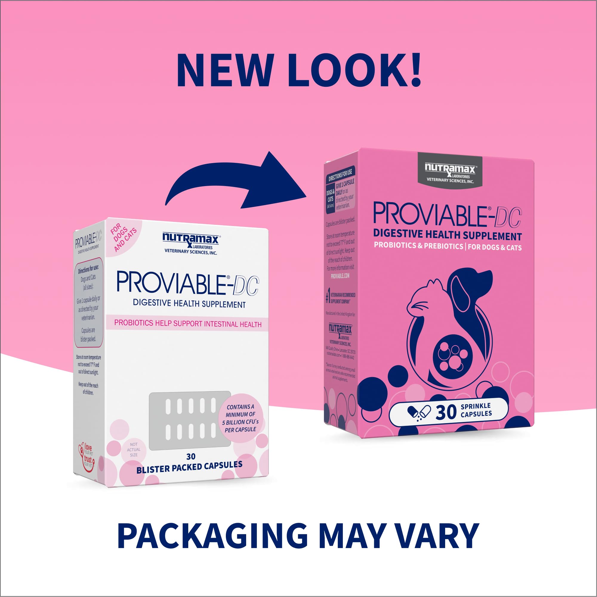 Nutramax Proviable capsule ouverte révélant la poudre probiotique bénéfique