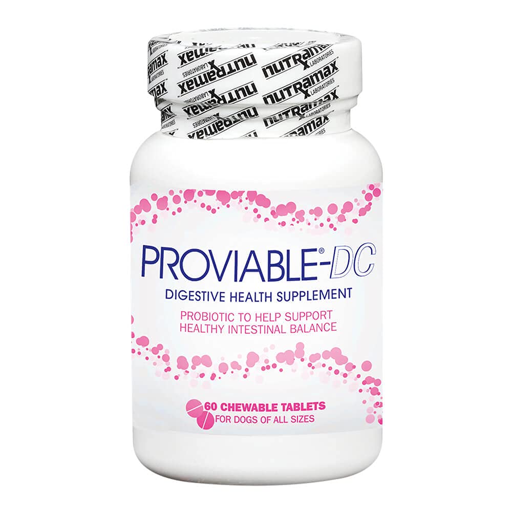 Nutramax Proviable comprimé en main pour faciliter l'administration au chien