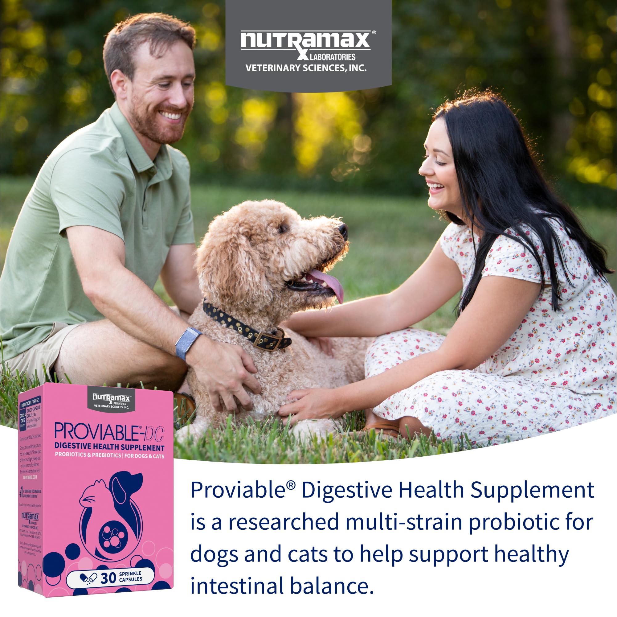 Nutramax Proviable étiquette détaillée indiquant les souches et bienfaits