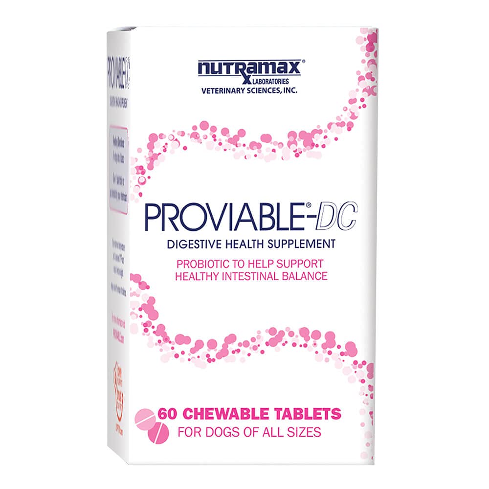 Nutramax Proviable emballage avant montrant informations produit et bénéfice intestinal