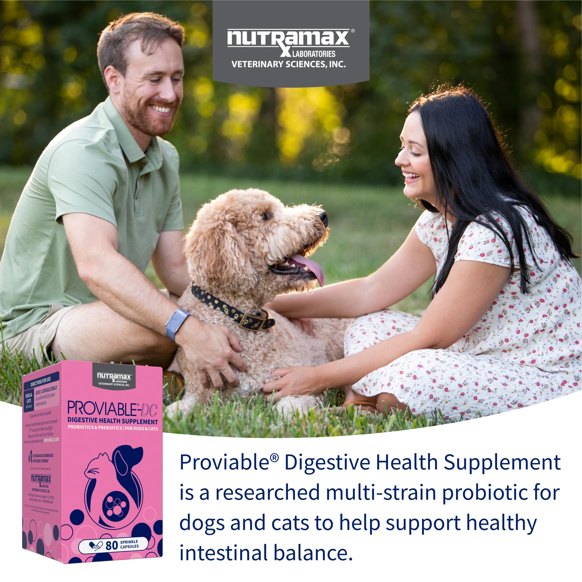 Nutramax Proviable poudre saupoudrée sur croquettes, facilité d'administration et appétence