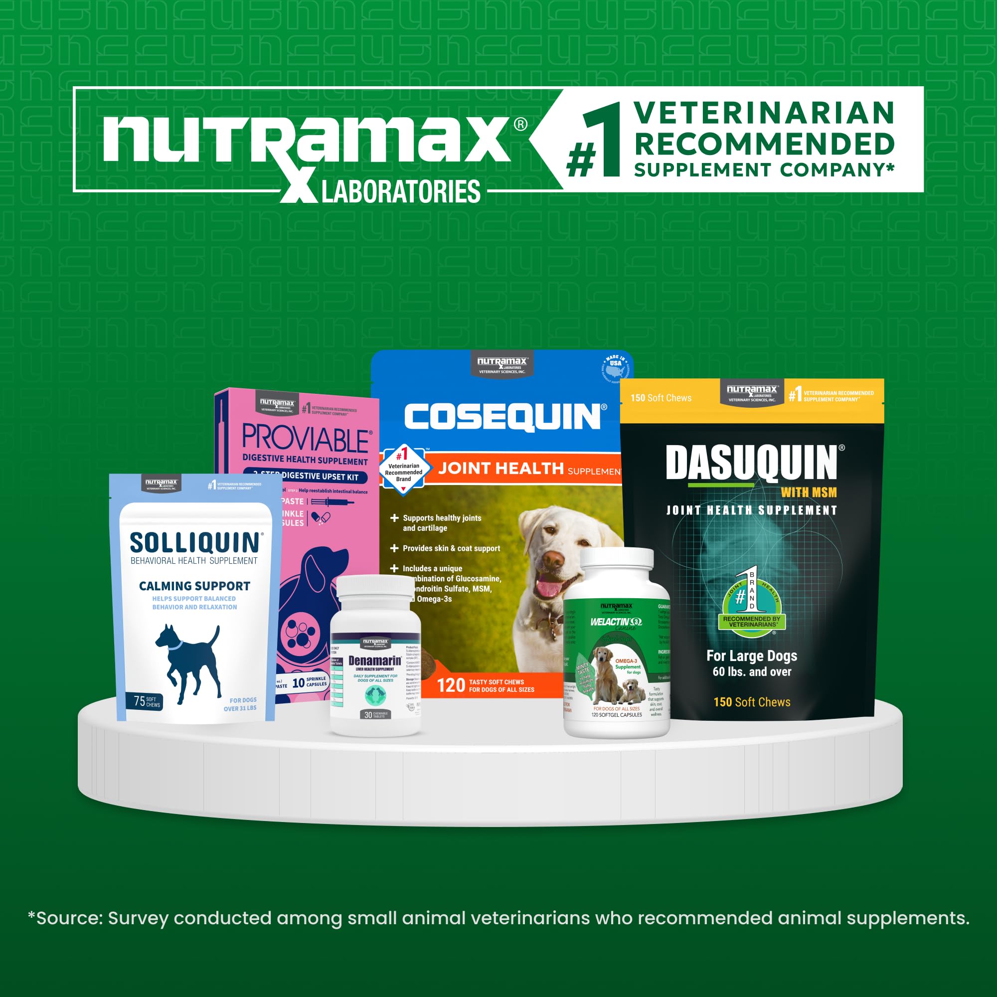 Nutramax Solliquin mise en situation dans un sac de transport, soutien lors des voyages