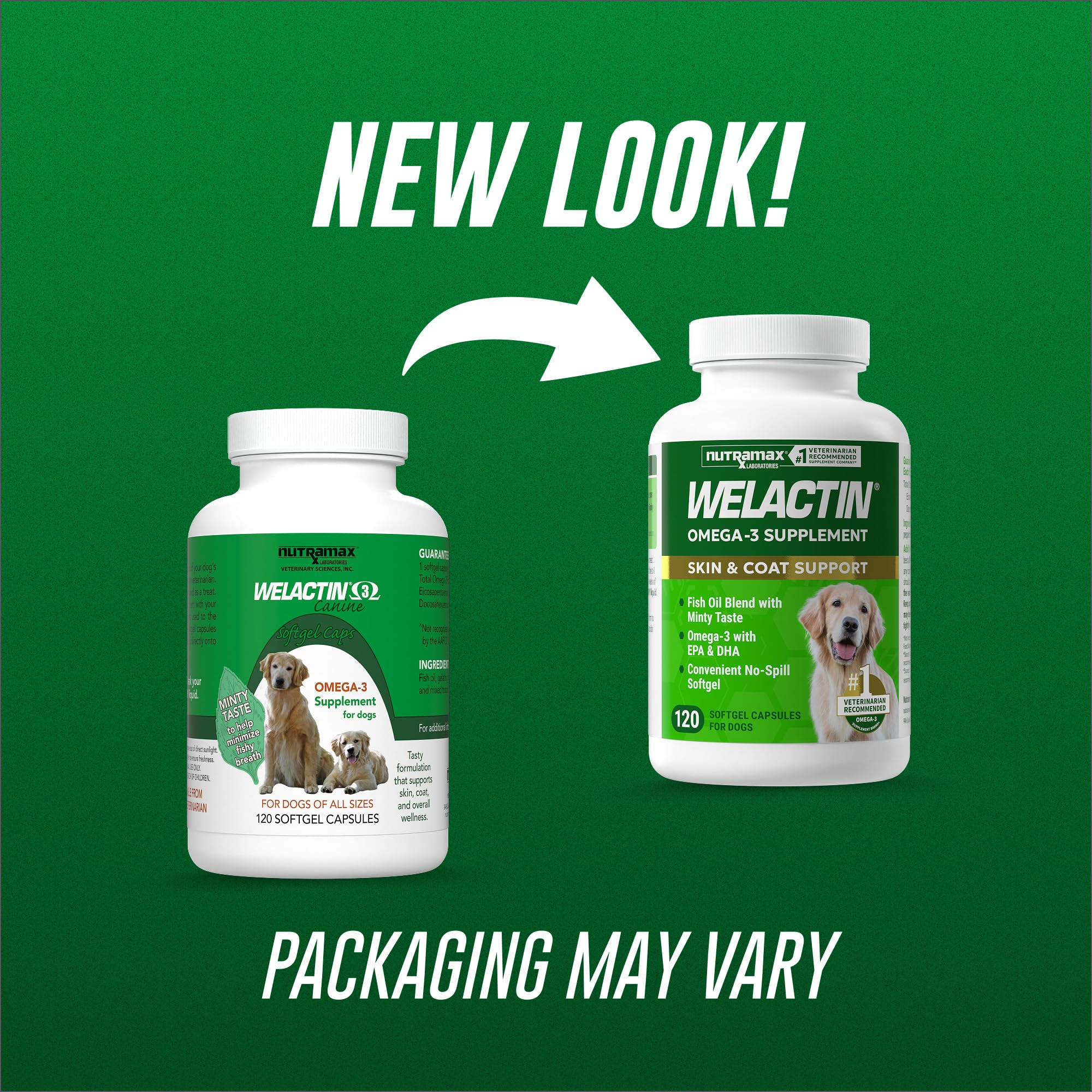Nutramax Welactin capsule dans la main du propriétaire facilité d'administration