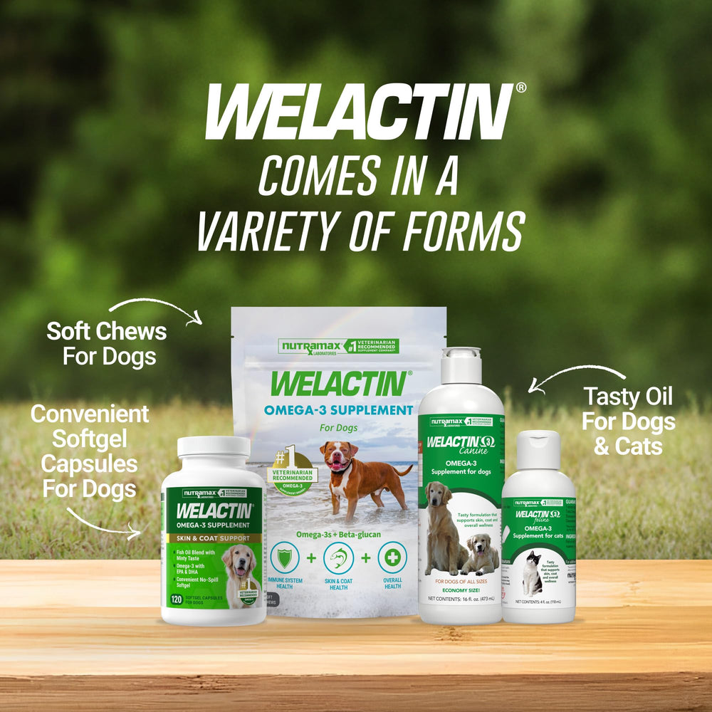 Nutramax Welactin étiquette lisible indiquant EPA et DHA pour la confiance