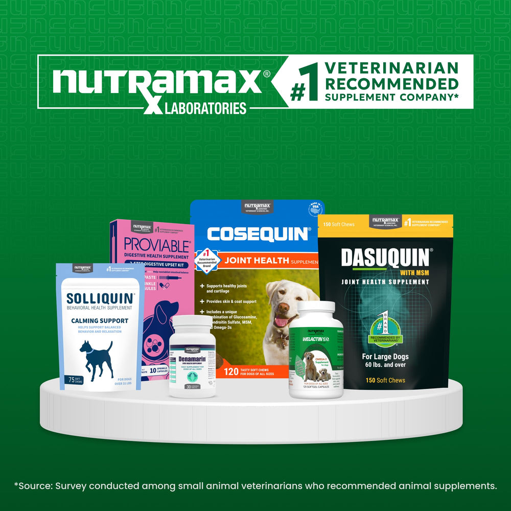 Nutramax Welactin pack de trois bouteilles mettant en avant l’économie et la continuité