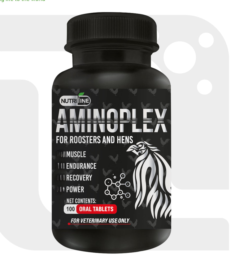 NUTRI-LINE flacon Aminoplex100 100 comprimés pour complément pratique