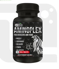 NUTRI-LINE flacon Aminoplex100 100 comprimés pour complément pratique