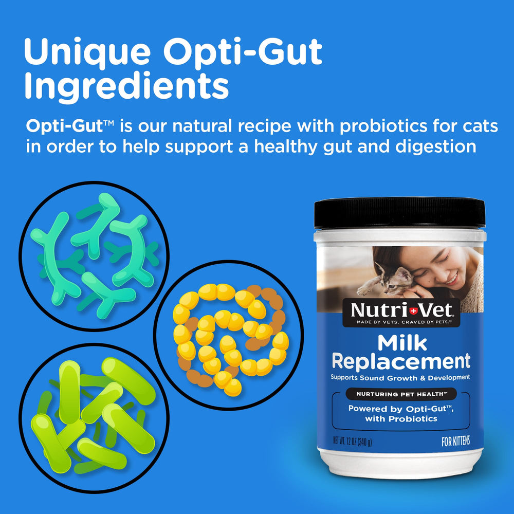 Nutri-Vet biberon en usage pour chaton, administration simple et sûre