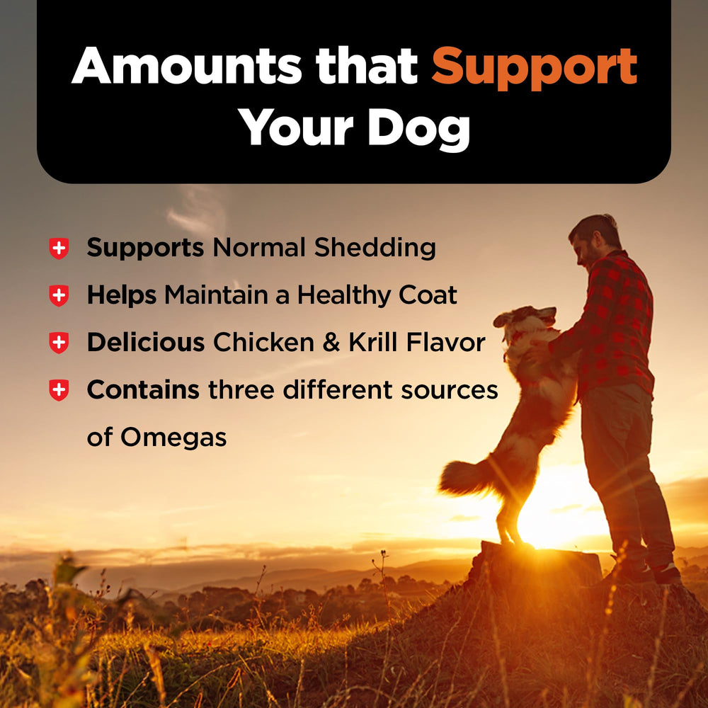 Nutri‑Vet chien mange une friandise, favorise pelage brillant