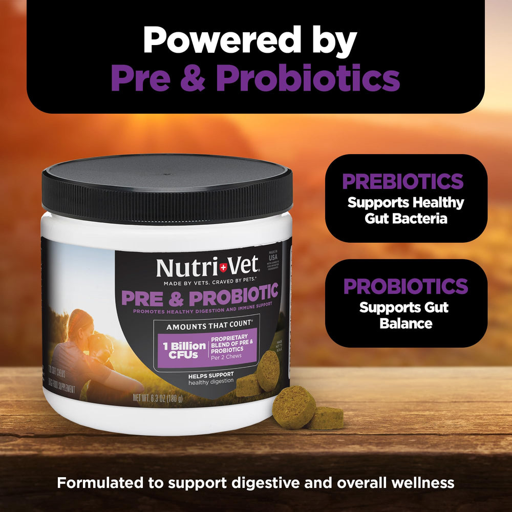 Nutri‑Vet chiot mangeant friandise démontrant acceptation et goût