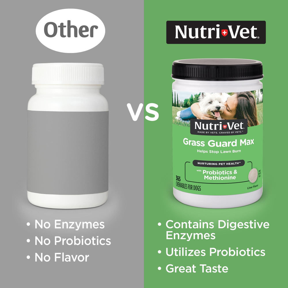 Nutri-Vet comprimé gros plan montrant texture et appétence pour chien