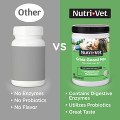 Nutri-Vet comprimé gros plan montrant texture et appétence pour chien