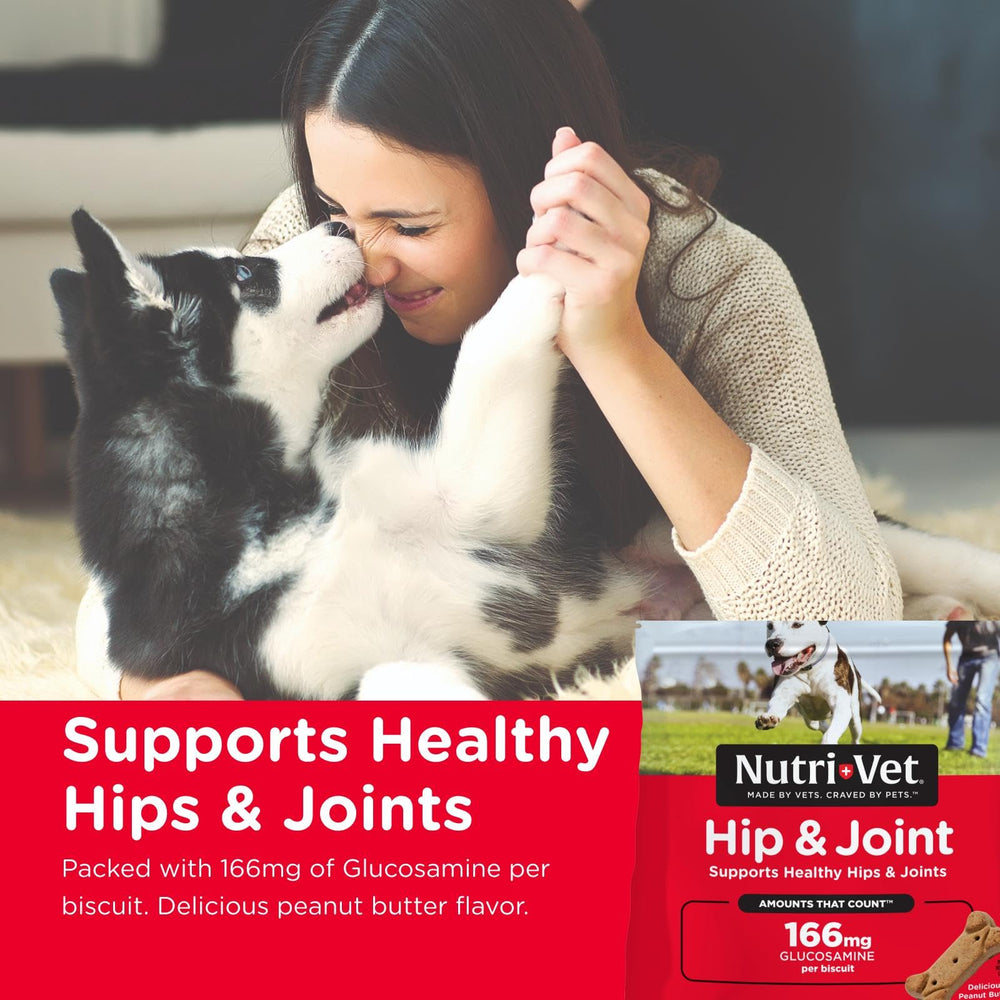 Nutri-Vet gros plan sur la texture croquante montrant nettoyage dentaire et appétence