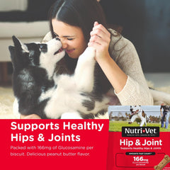 Nutri-Vet gros plan sur la texture croquante montrant nettoyage dentaire et appétence
