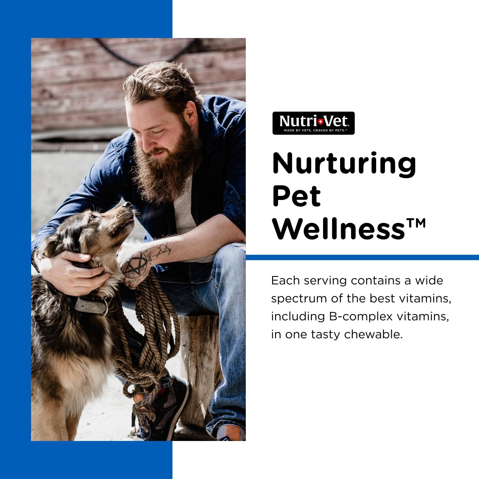 Nutri-Vet tablettes dans la main pour visualiser le format et le dosage