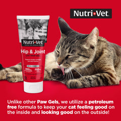 Nutri-Vet gros plan du tube et texture du gel pour administration facile