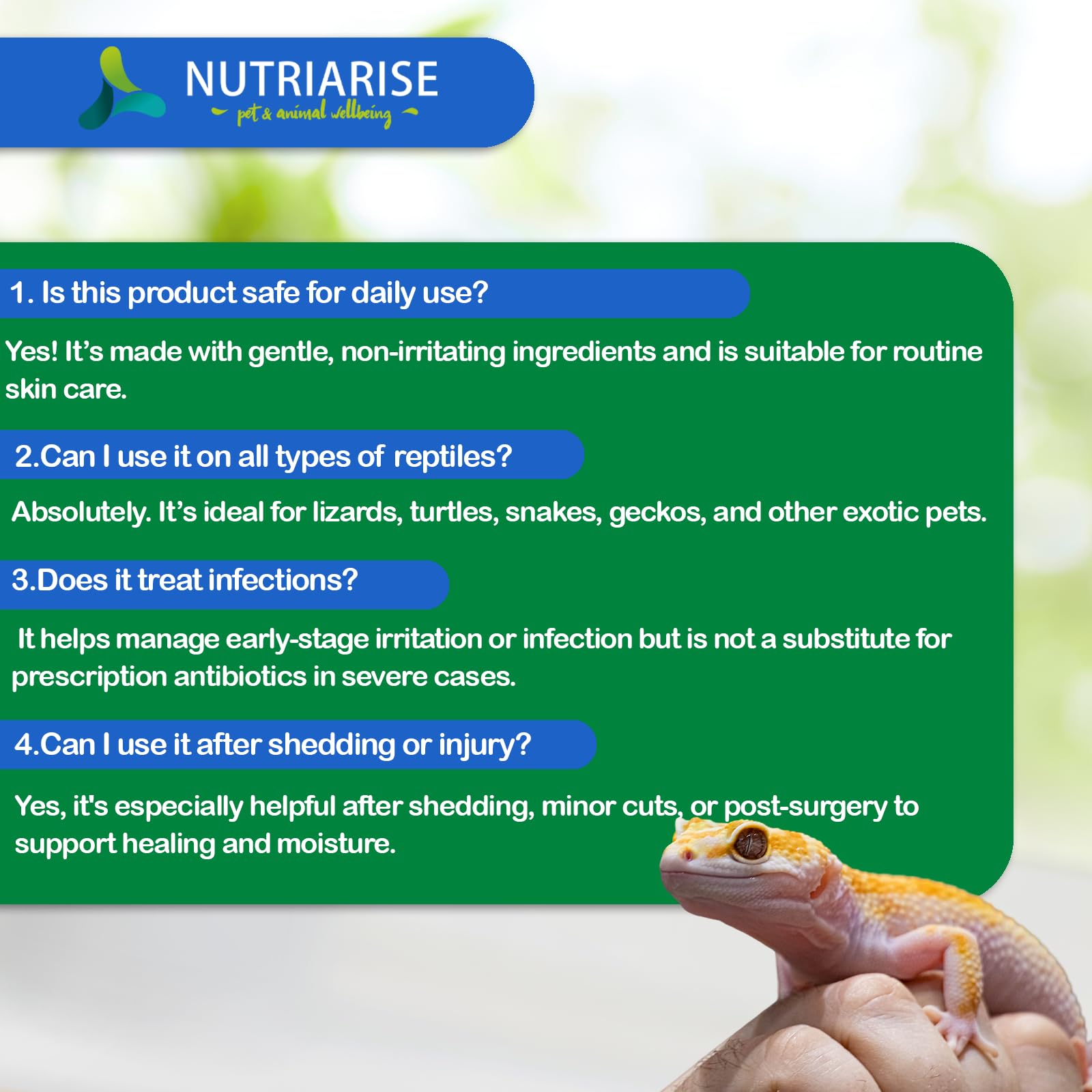 NUTRIARISE en terrarium avec reptile illustrant usage quotidien sécurisant