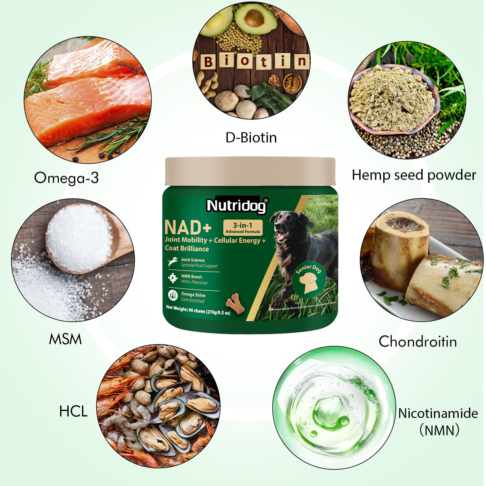 nutridog gâchettes texture gros plan attirantes et appétentes