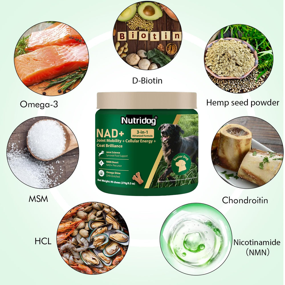 nutridog gâchettes texture gros plan attirantes et appétentes