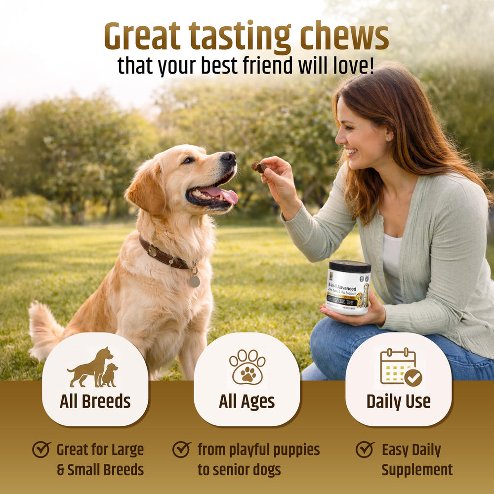 Nutrimend IQ comparaison taille chews montrant portion adaptée au poids