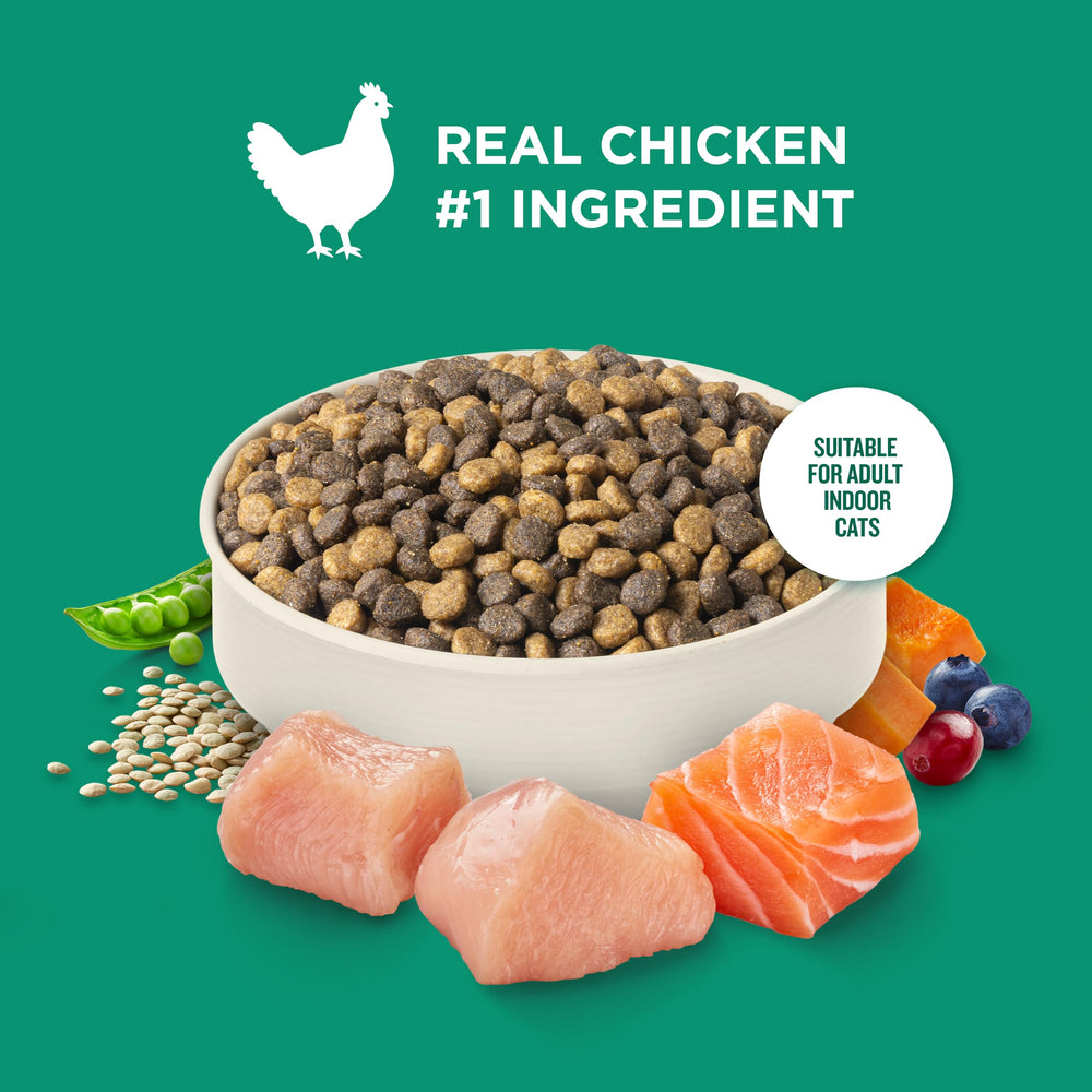 Nutrish chat mange dans une assiette illustrant acceptation et saveur au poulet
